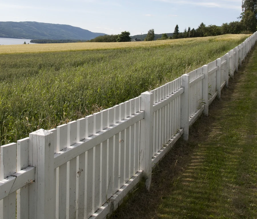 A white picket fence running the length of a mown path beside a summer field.